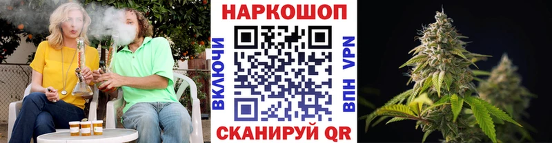 Виды наркоты Гдов ГАШИШ  СОЛЬ  Мефедрон 