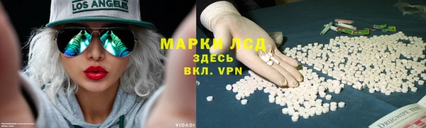 эйфоретик Алзамай