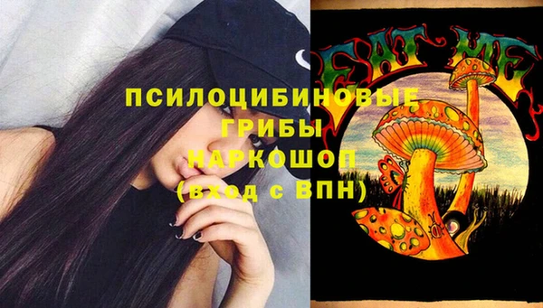 прущий лед Армянск